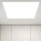 Tran 1